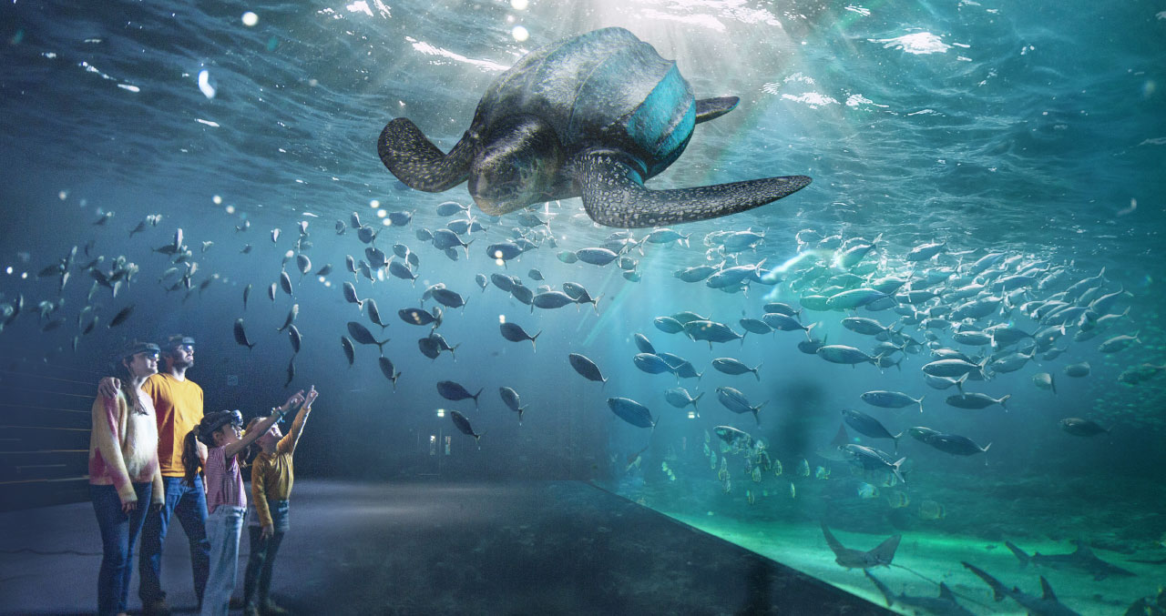 Grand large tortue luth 2 1280