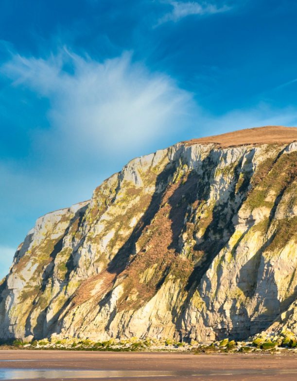 cliffs-of-cape-blancnez-in-france-picture-id1220300860