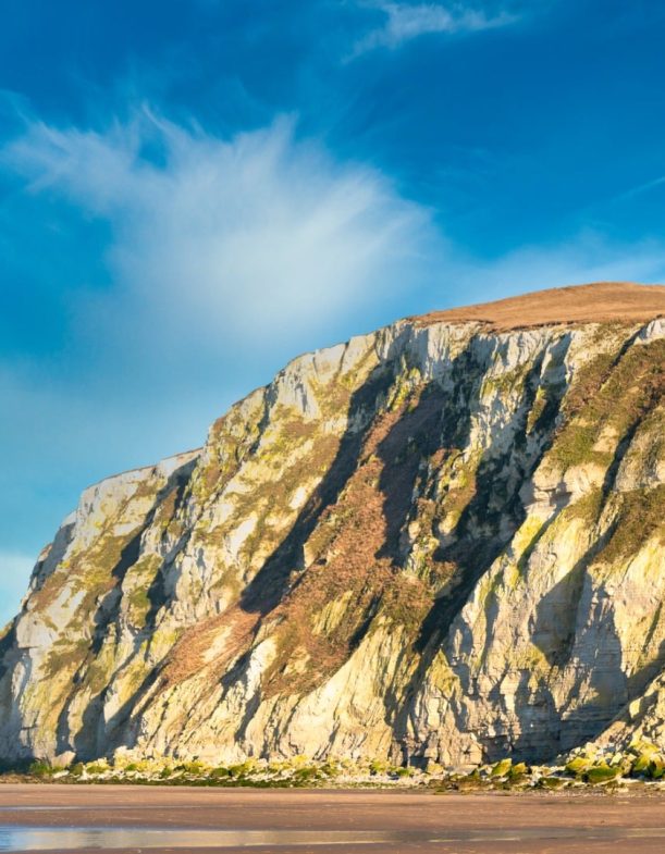 cliffs-of-cape-blancnez-in-france-picture-id1220300860