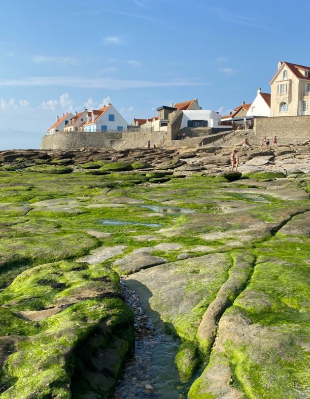 stones-covered-by-green-seaweeds-and-traditional-houses-at-the-beach-picture-id1297048942